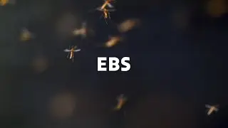EBS 다큐멘터리 프로그램 라인업 안내