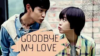 Goodbye my love