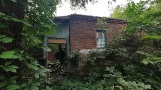 Заброшенная деревня Сухаревка. Липецкая область. Долгоруковский район