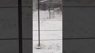 Оаоааоаоаоаооа #СнежокНаАсфальте