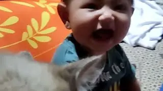 Main ci luk ba sama si Lili, anak kucing ketawa terus