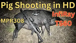 Pig Shooting With The InfiRay TS60