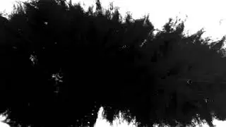 Free Watercolor Ink Blot Transition | Rorschach Ink Blot | Ink Blot Video Overlay | Ink Transition
