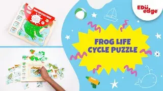 Eduedge - Frog life cycle puzzle | Wooden toys | educational puzzle game |Wooden puzzle