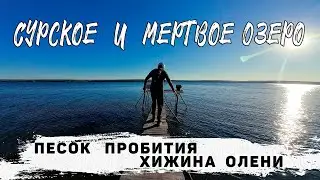 Сурское и Мертвое Озеро