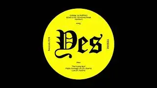 Stevie Whisper - Public Homage Limited (ft. Andria) [YES]