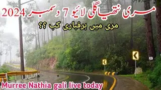 murree live today | nathia gali live today | #murree Barfbari | murree snowfall update #2024