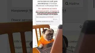 И так каждую ночь с новой машиной 😂