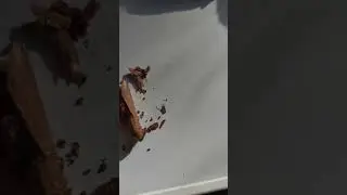 Что такое машинная скрутка сигариллы
