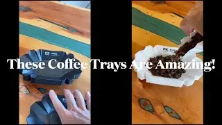 Green & Roasted Coffee Trays