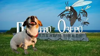 Кемпинг у Плещеева озера 2024. Это незабываемо!