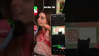My CATS Love Minecraft