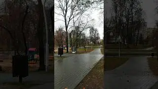 Осенний парк❤️ Казань[10 ноября 2023] #казань #ноябрь #прогулка #youtubeshorts #nature #rain #autumn