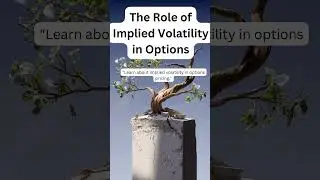 What does Implied Volatility Tell Us?