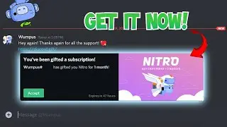 The Only LEGIT Way to Get Discord NITRO For Free