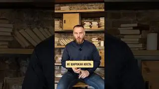 ТЫ сам ВИНОВАТ☝️