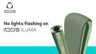 Why don’t I have any flashing lights on my IQOS ILUMA? | IQOS UK
