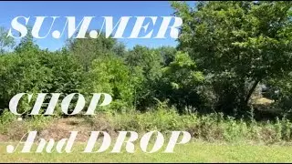 SC Agriculture and Art Tour Preparation 2024