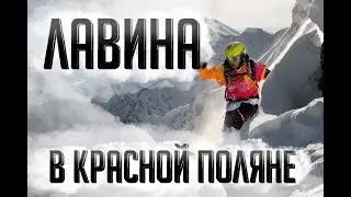 Лавина во время катания на фрирайде в Красной Поляне