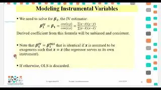 IV_IV Estimations on Bivariate Models