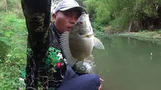 awalnya ikan nyusu'' yang kita dapat,,! setelah pindah spot baru dapet ikan agak dewasa hihihi