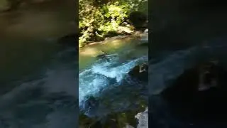 Река Курджипс. Первый порог от входа в ущелье. Поселок Мезмай