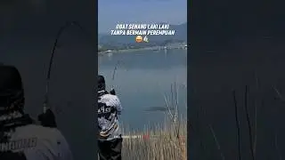 Obat senang laki laki !!