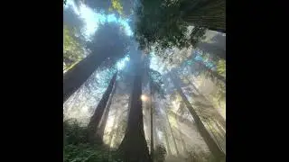 *FREE* Guitar x Trap Type Beat - "VR" (prod.@bando)