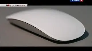 Какая из 