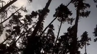 ПРОСТО ВИДЕО 2.0