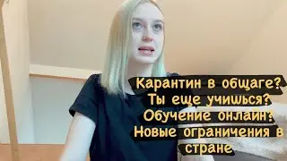 Ситуация в Словакии: Учёба, Работа, Новые меры