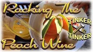 Making Peach Wine from Fresh Peaches - Part 2 Racking The Peach Wine