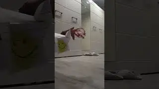 8 сентября 2022 г.