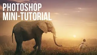 Photoshop Mini-Tutorial: Taking an Elephant for a Walk