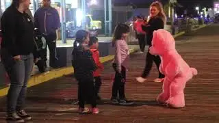 TINY TEXIE AS TINY TEDDY BTS PINK BEAR