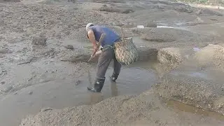 泰叔去海边勾石头缝，里面有动静感受会很明显，赶出来是只大家伙