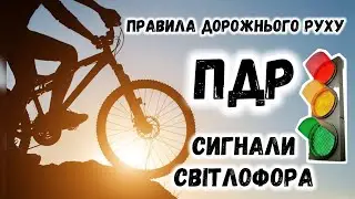 ПДР | Сигнали світлофора | Правила дорожнього руху | Модуль велоспорт | Фізична культура |