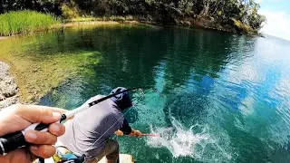 Fishing GIANT Sink Hole For Trout -  Fishing Australia