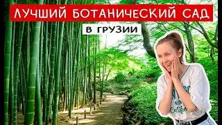 ТАКОГО мы не ожидали!!! Цены, локации, сюрпризы Ботанического сада Батуми