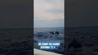 THEY ARE REAL!!🇵🇭🐬🐬