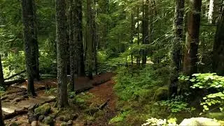 Джанго - Мы не уйдём