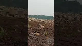 Suasana Mancing di Waduk Jatiluhur Purwakarta..