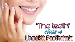The teeth | Class-4 | Science