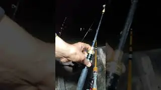Sorotan 9.55 - 14.54 dari MMA FISHING sedang live sekarang!