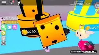 Pet simulator🐣 | покупаю яйца и подарки🎁 | откуда столько денег💲?!