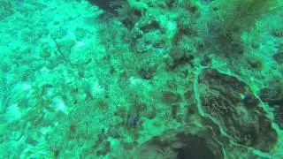 Diving in St Kitts