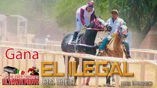 3.-El ilegal vs El Lic. Corona