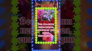 с днем рождения Вика 