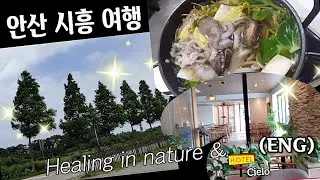 행복해지는 꿀팁! 쓸데없는 인간관계 다 끊어라 🍀(ENG) healing in nature