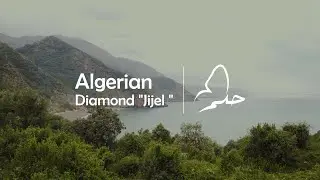 جوهرة الجزائر 